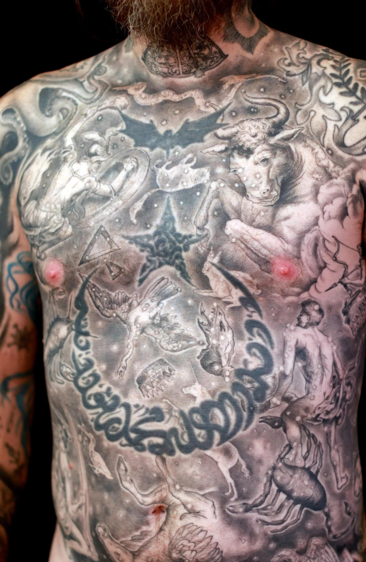 jfrede-torso-wip9-2019.jpg