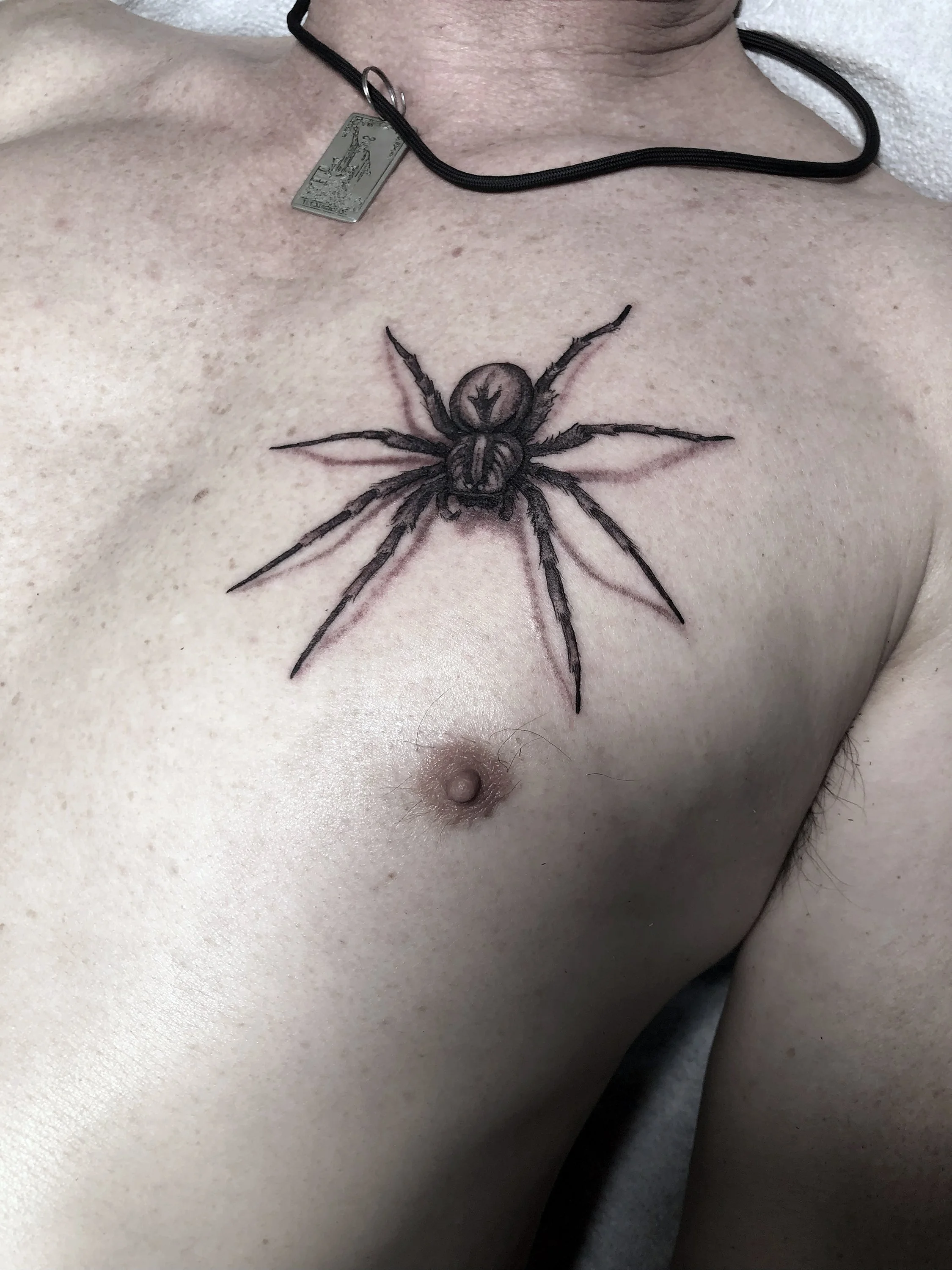bng-spider-chest2023.jpg