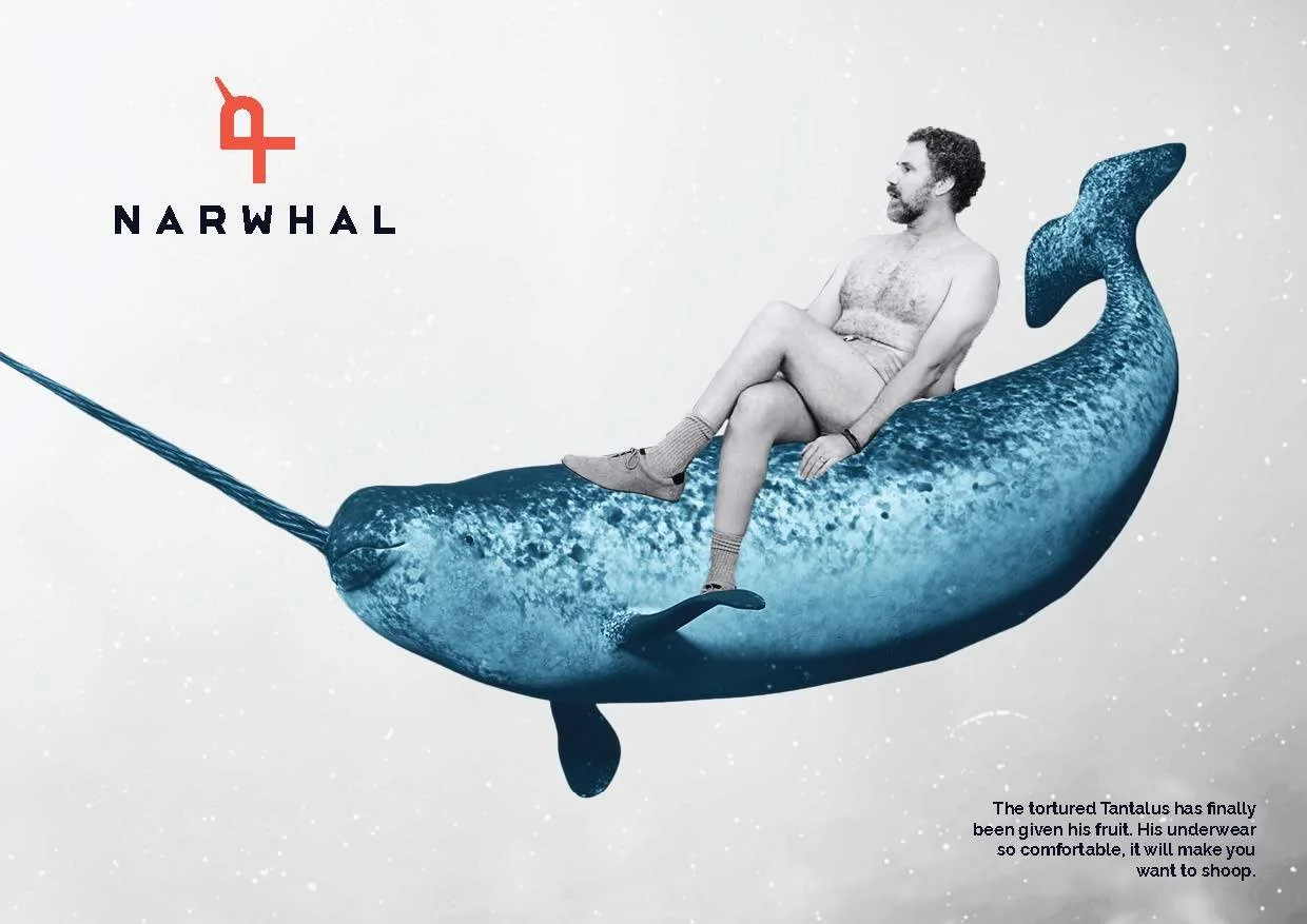 Narwhal Brand Guide_Page_01.jpg