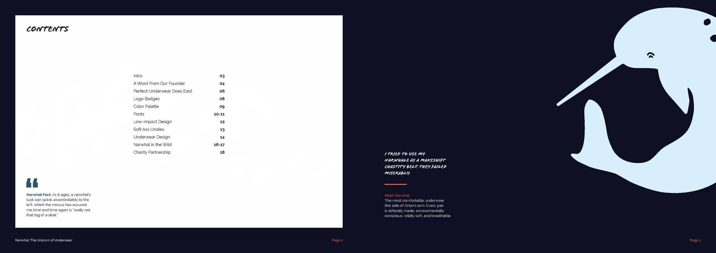 Narwhal Brand Guide_Page_02.jpg