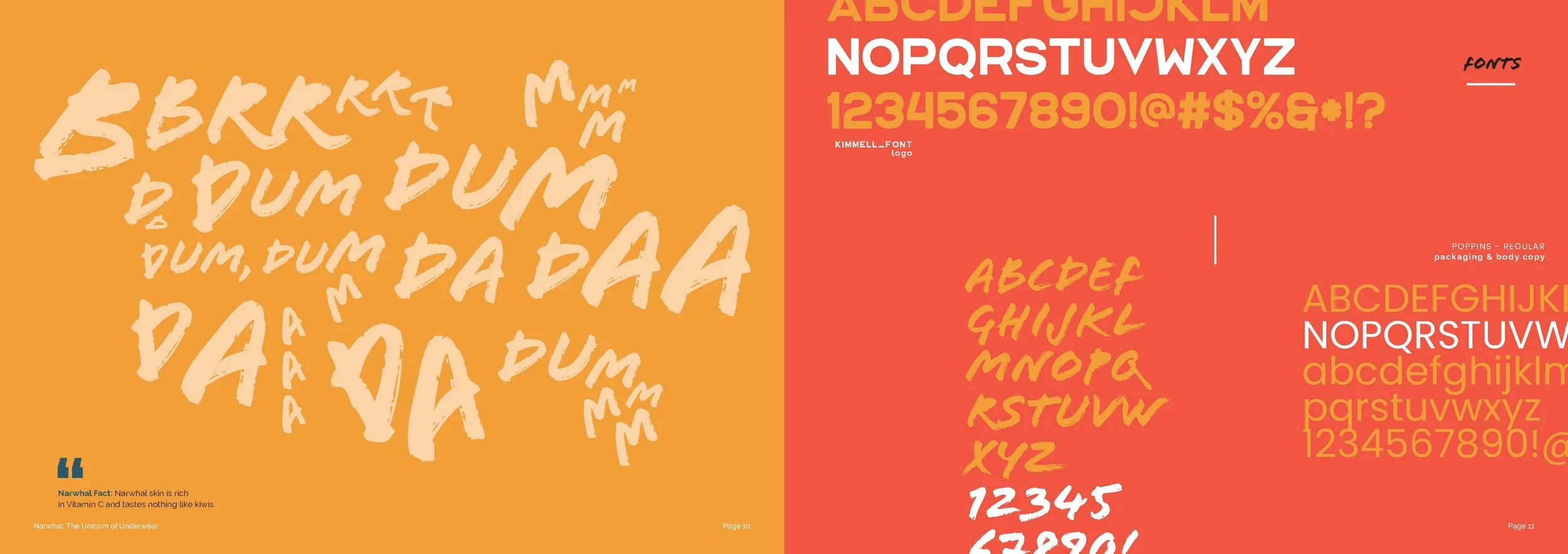 Narwhal Brand Guide_Page_06.jpg