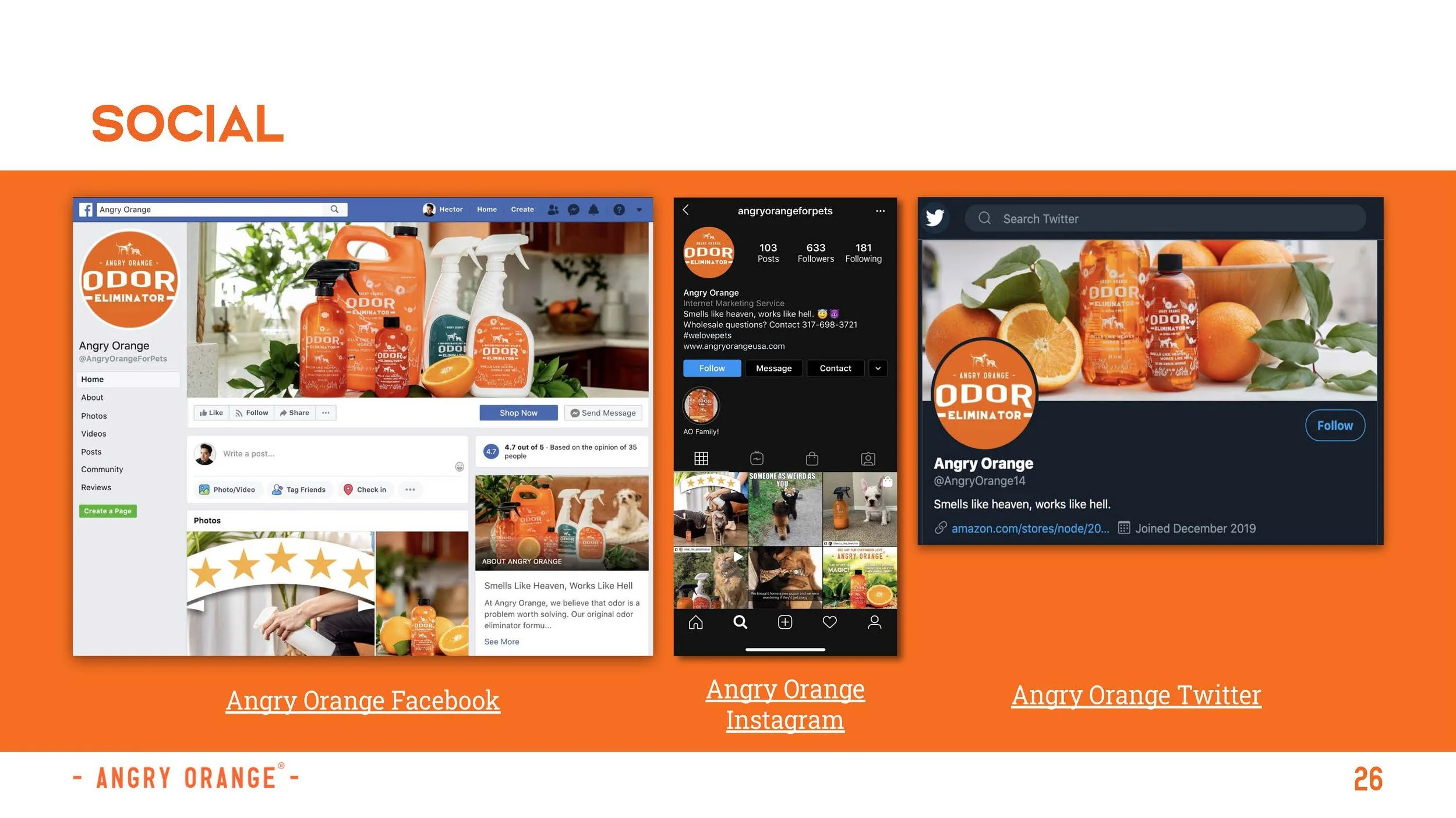 NEW_Brand Guidelines - Angry Orange_Page_29.jpg