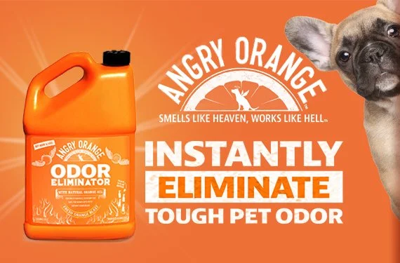 AOR_1 Gal_DSP_B082L3QQCB_US_570x375_090622.jpg