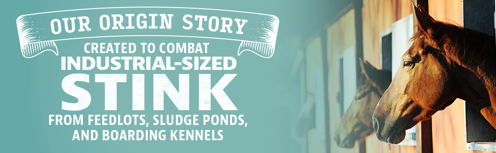 AOR_Carpet-Cleaner_24oz-Citrus_Module 5_B0BN2GJVWJ_US_APC_112023.png