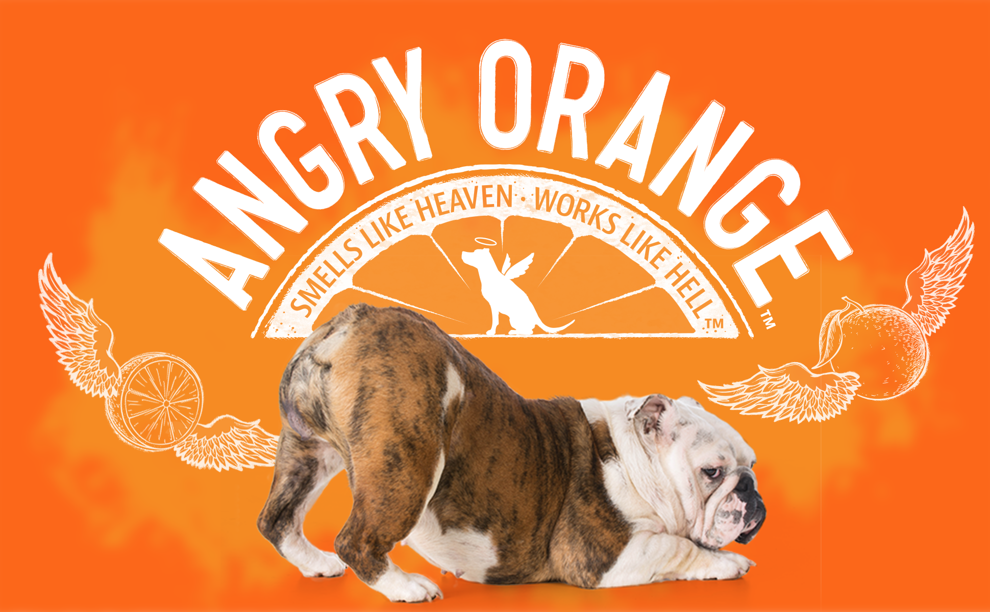 Angry Orange Citrus Stain Remover APC.png