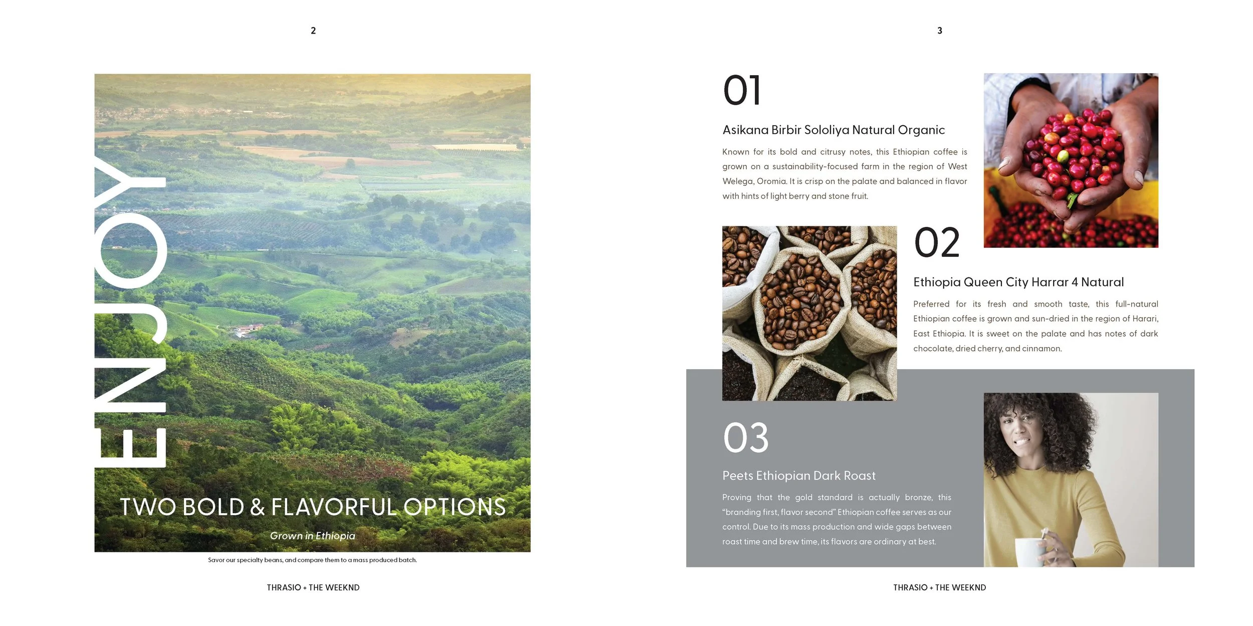 Air Roasted Booklet - The Weeknd_Page_3.jpg