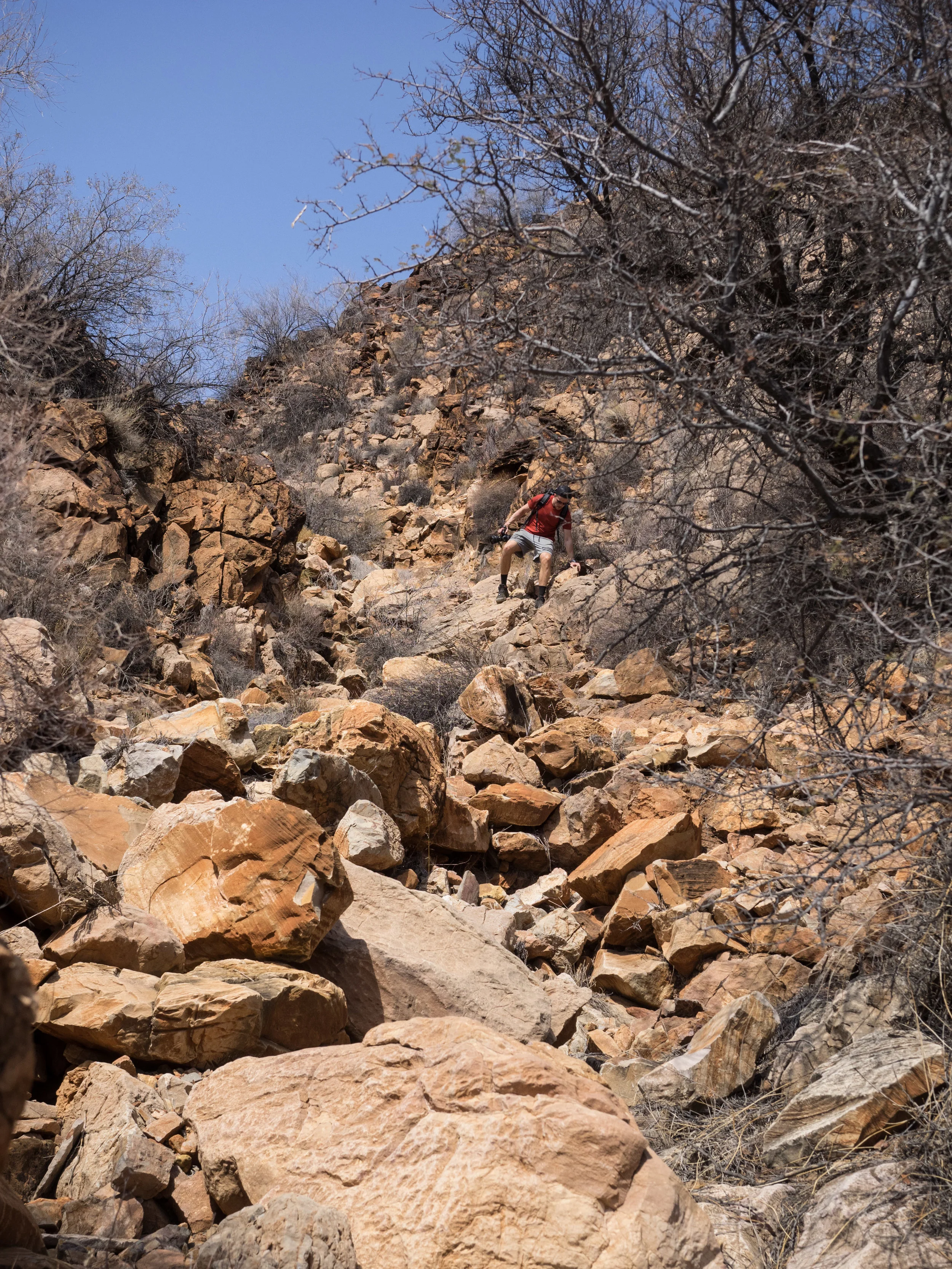 Need there be any more rocks?