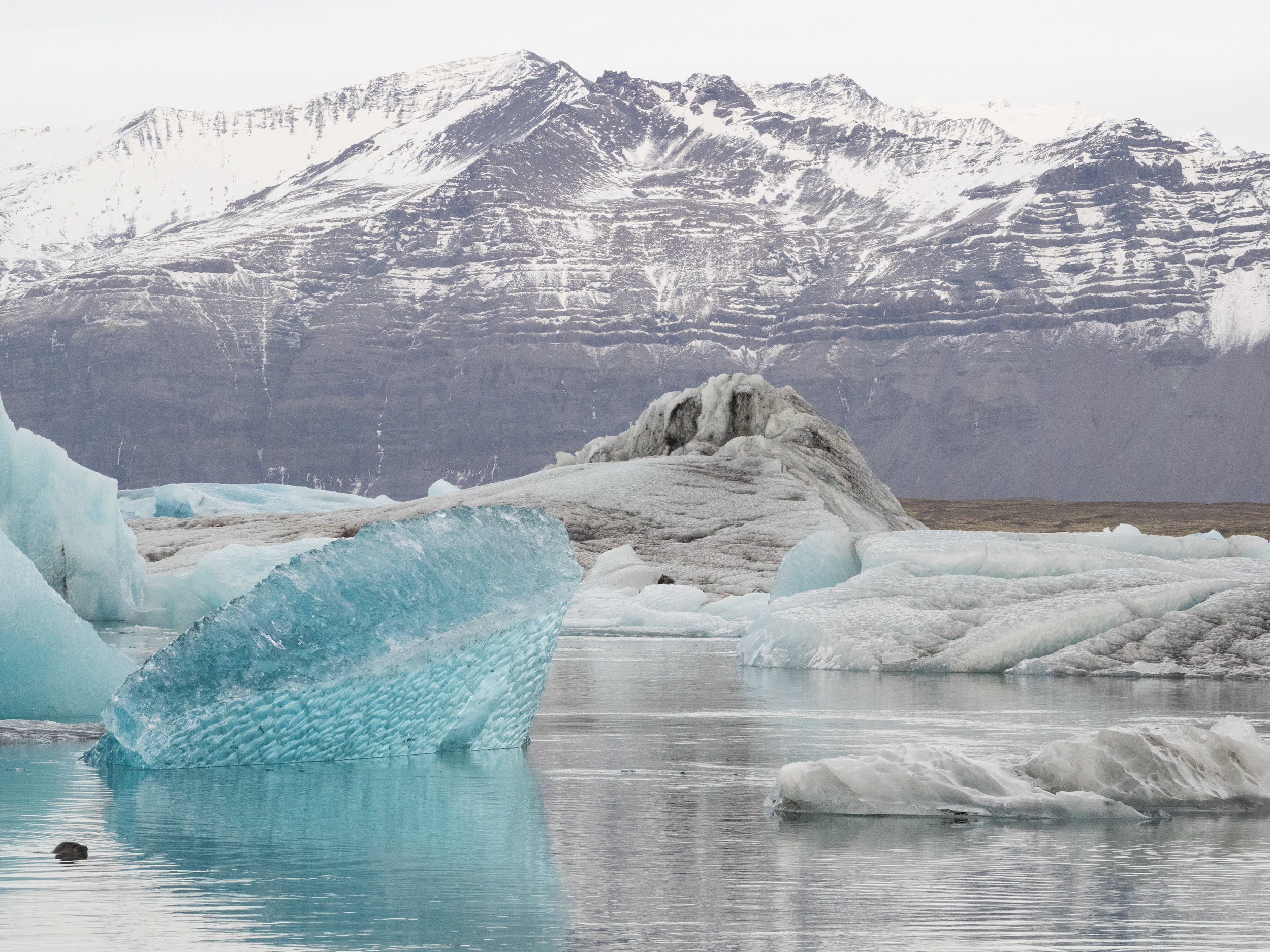 Spot the seal ;)
