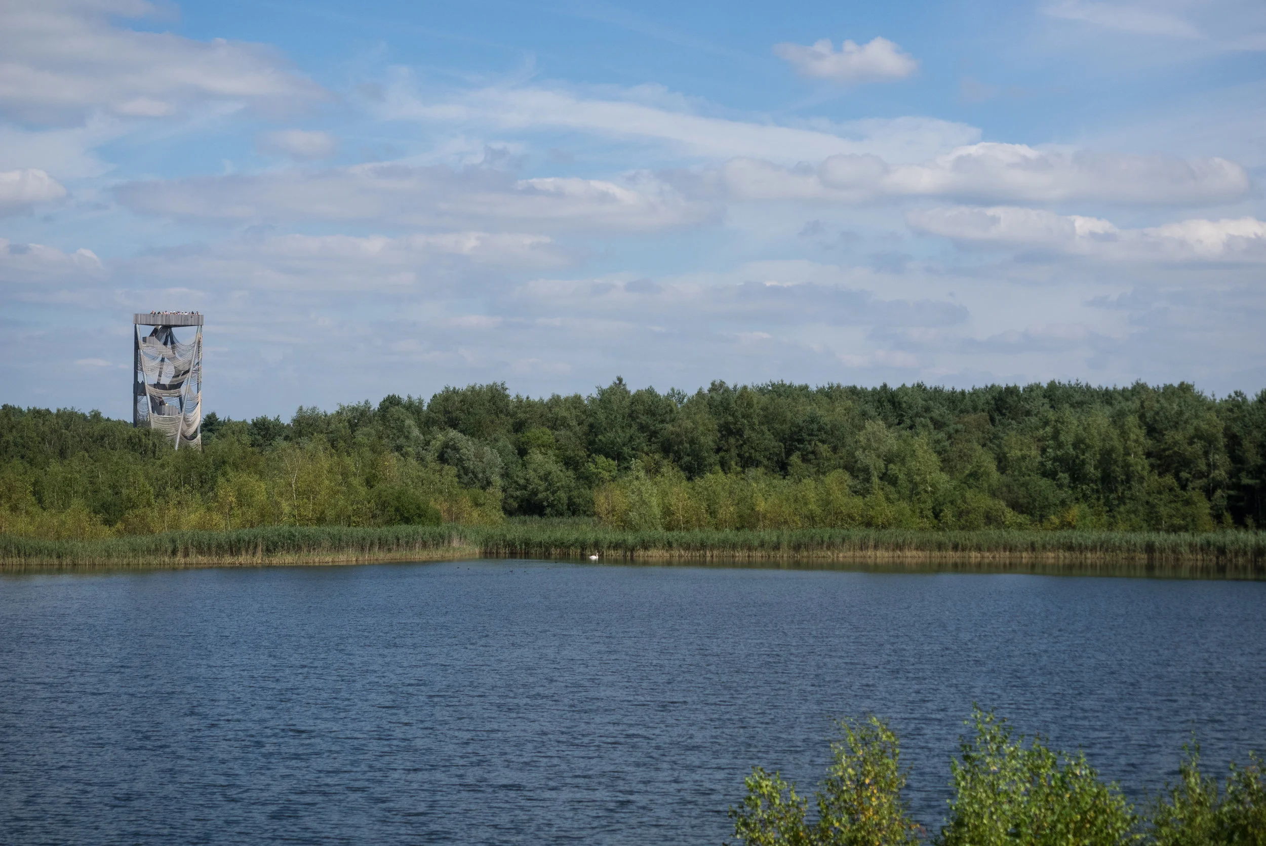 P8150947.jpg