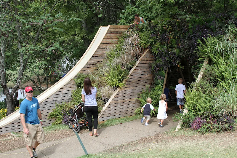 custom slide and developed green wall