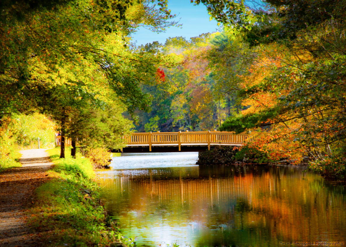 fall bridge small.png