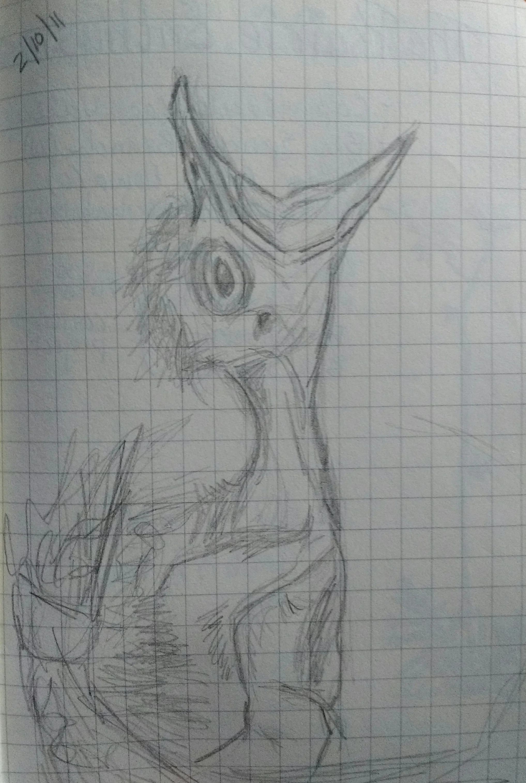 Carolyn_Byers_GrackleChickSketch_DO_NOT_USE_WITHOUT_PERMISSION (50).jpg