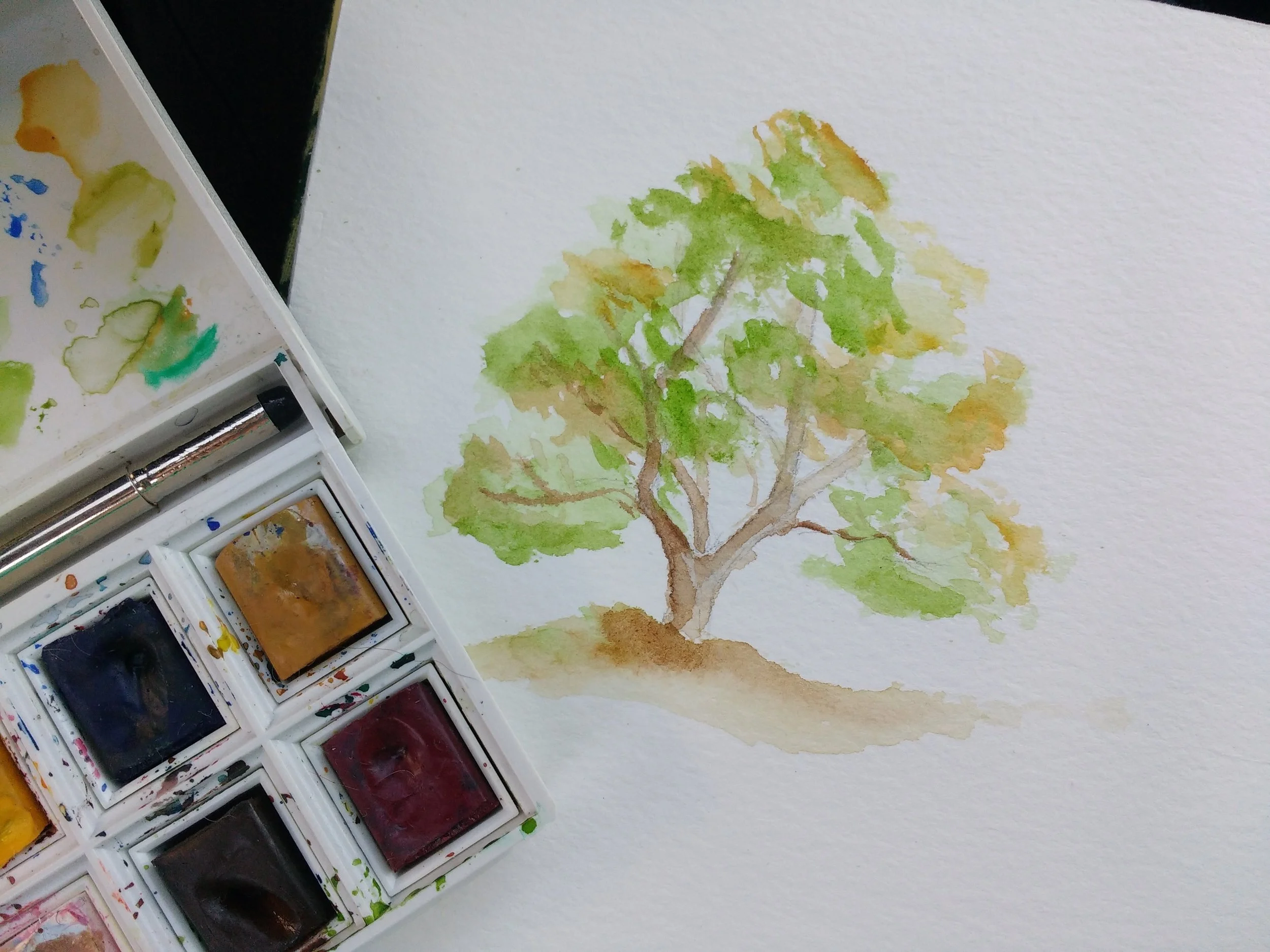 Carolyn_Byers_TreeSketch_DO_NOT_USE_WITHOUT_PERMISSION (15).jpg