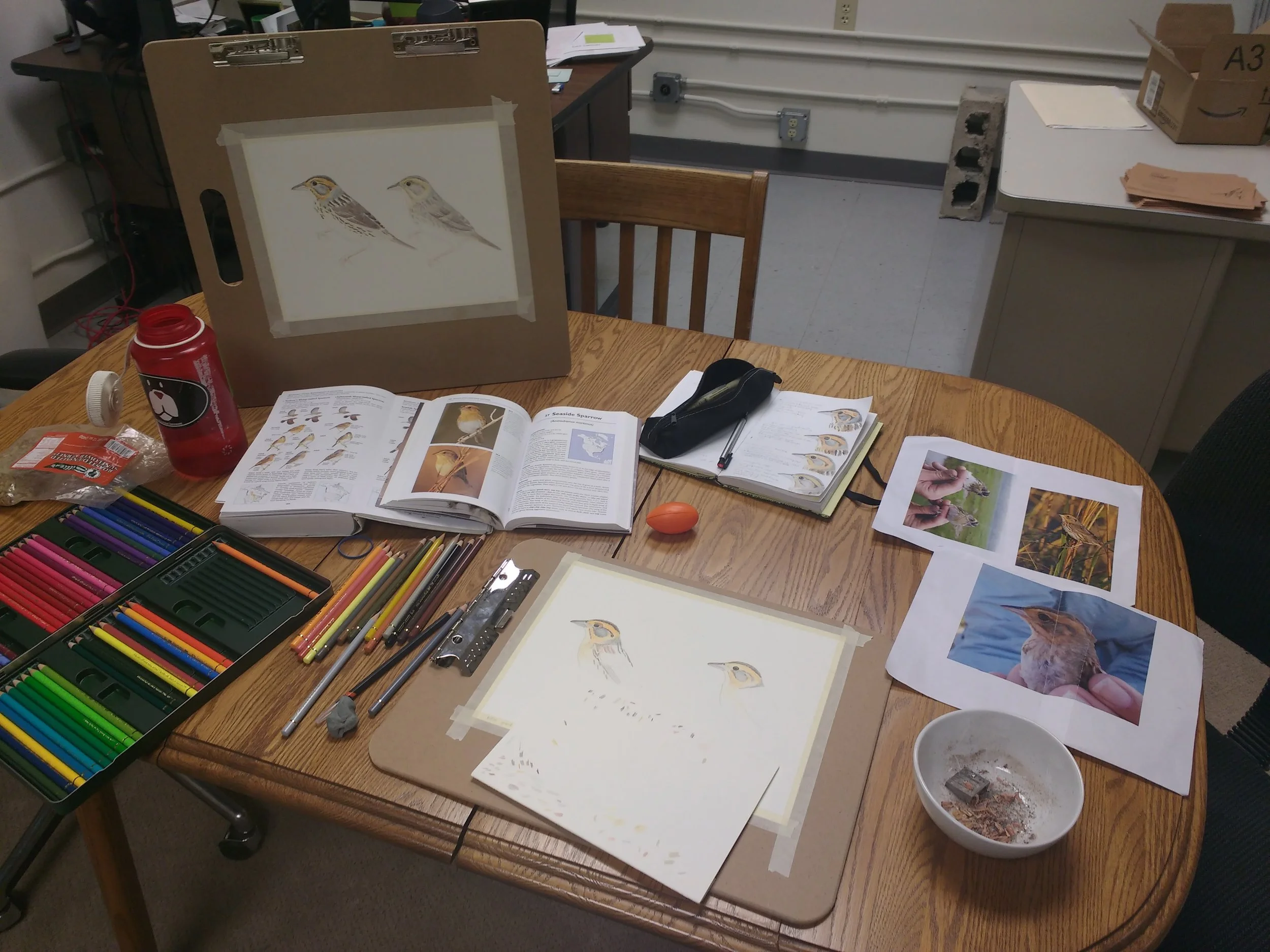CarolynByers_illustrationtable_DO_NOT_USE_WITHOUT_PERMISSION.jpg