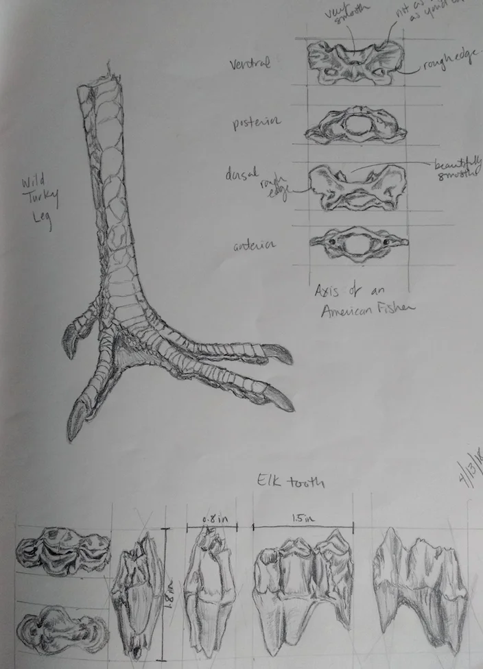 Byers assg 1_draw three objects.jpg