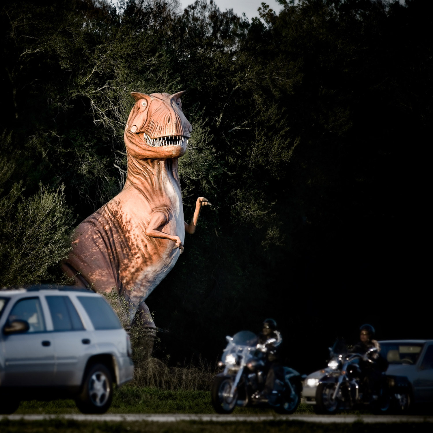   The Road to Disney  