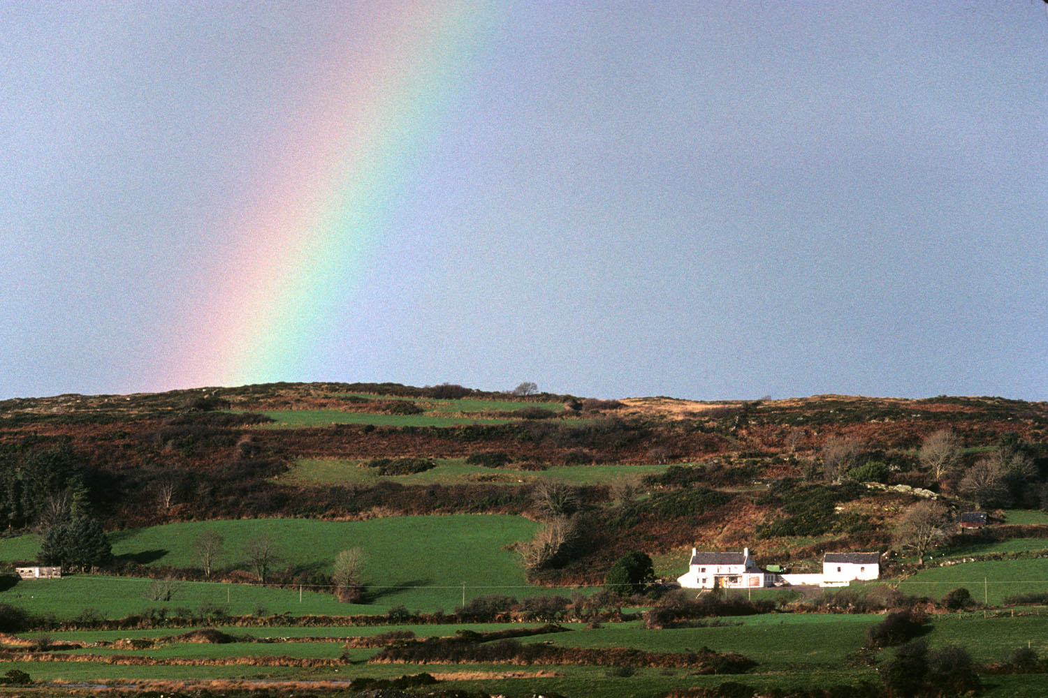 Casler_240100-7-3_Eire_Rainbow_FC_161015-2.jpg