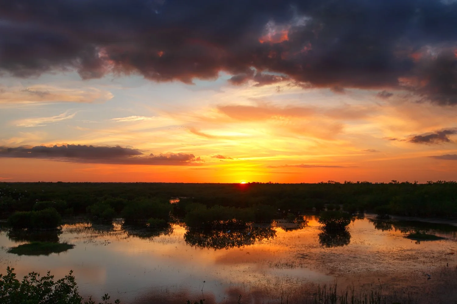 Everglades Sunset