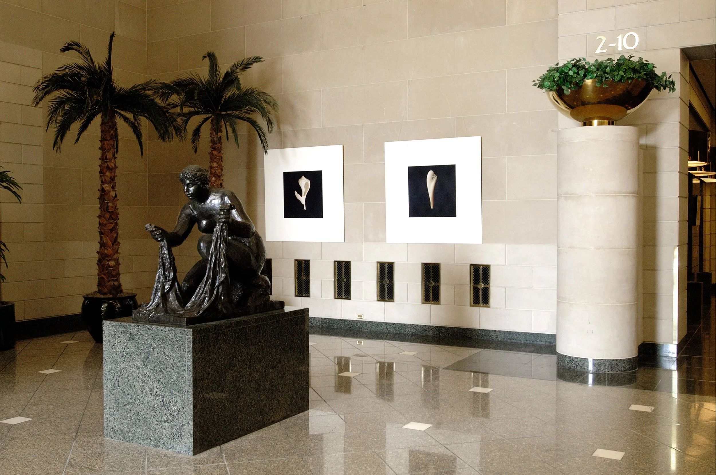 Installation - The Shell Collection Exhibition, BankAmerica Center, Orlando