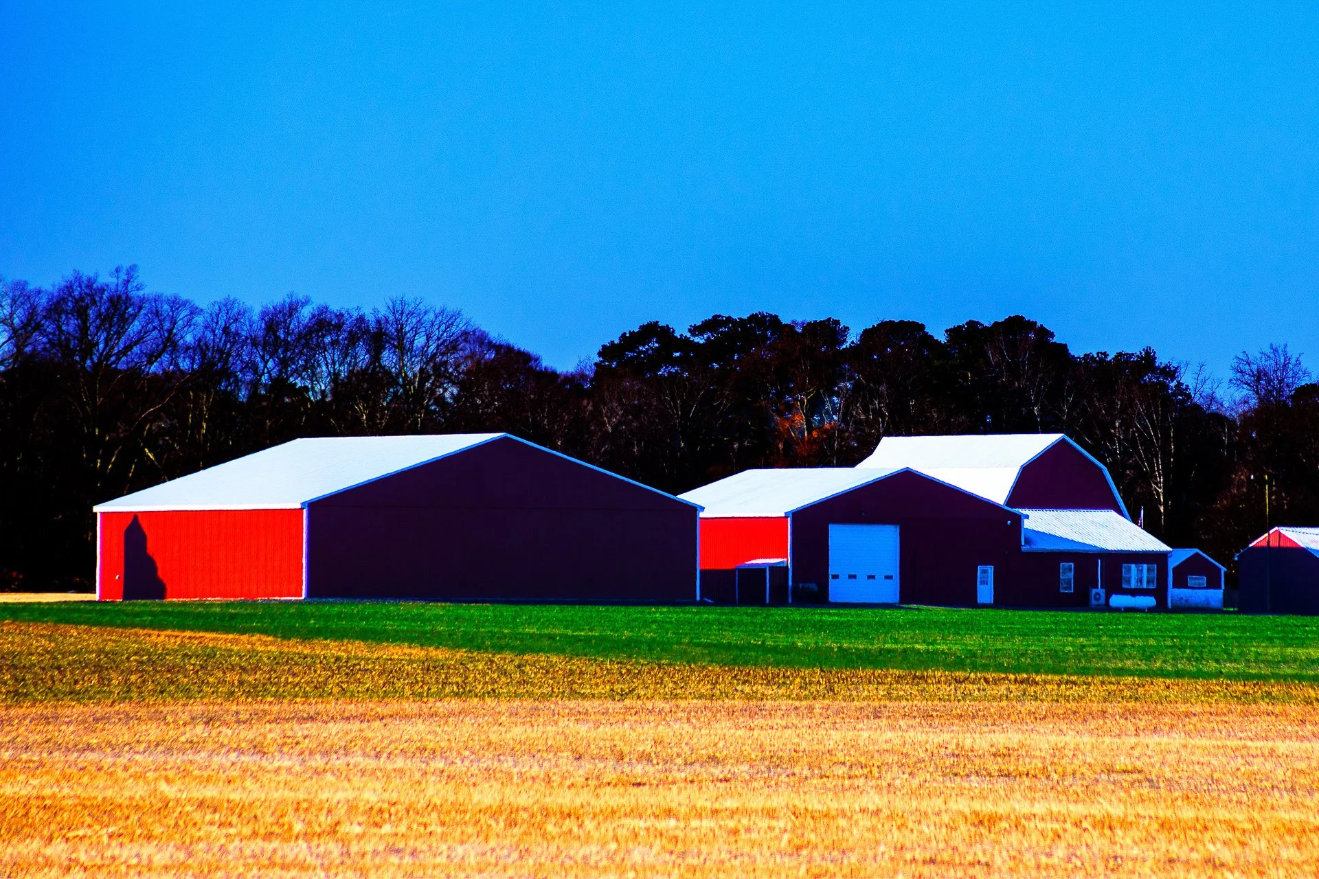 Laurance's Farm In Winter