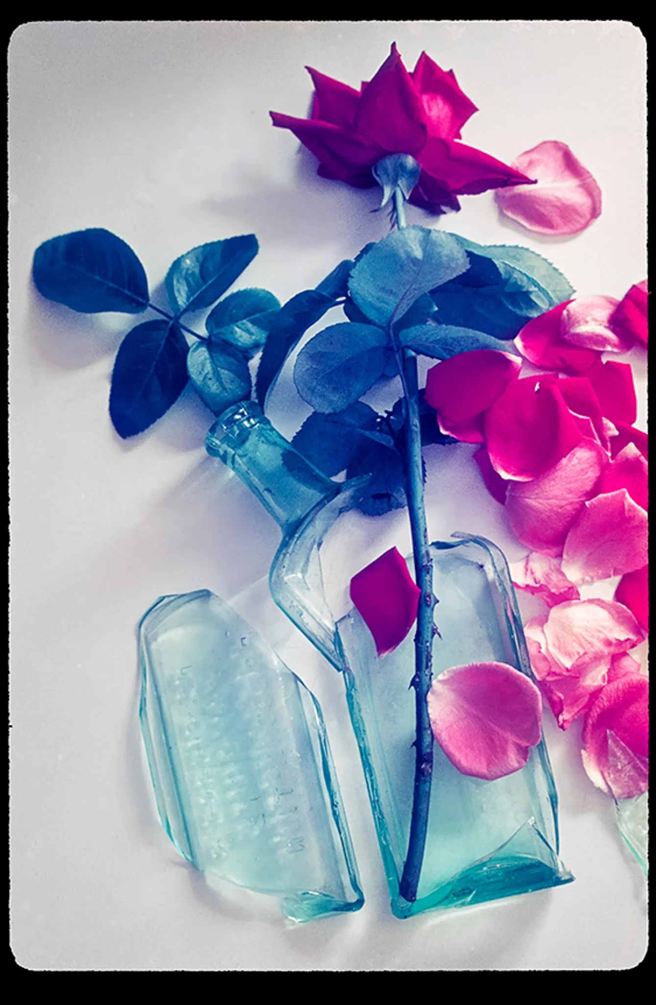 Casler_070714-26_Rose&Vase_C2x3-1_251102_T (1).jpg.jpg