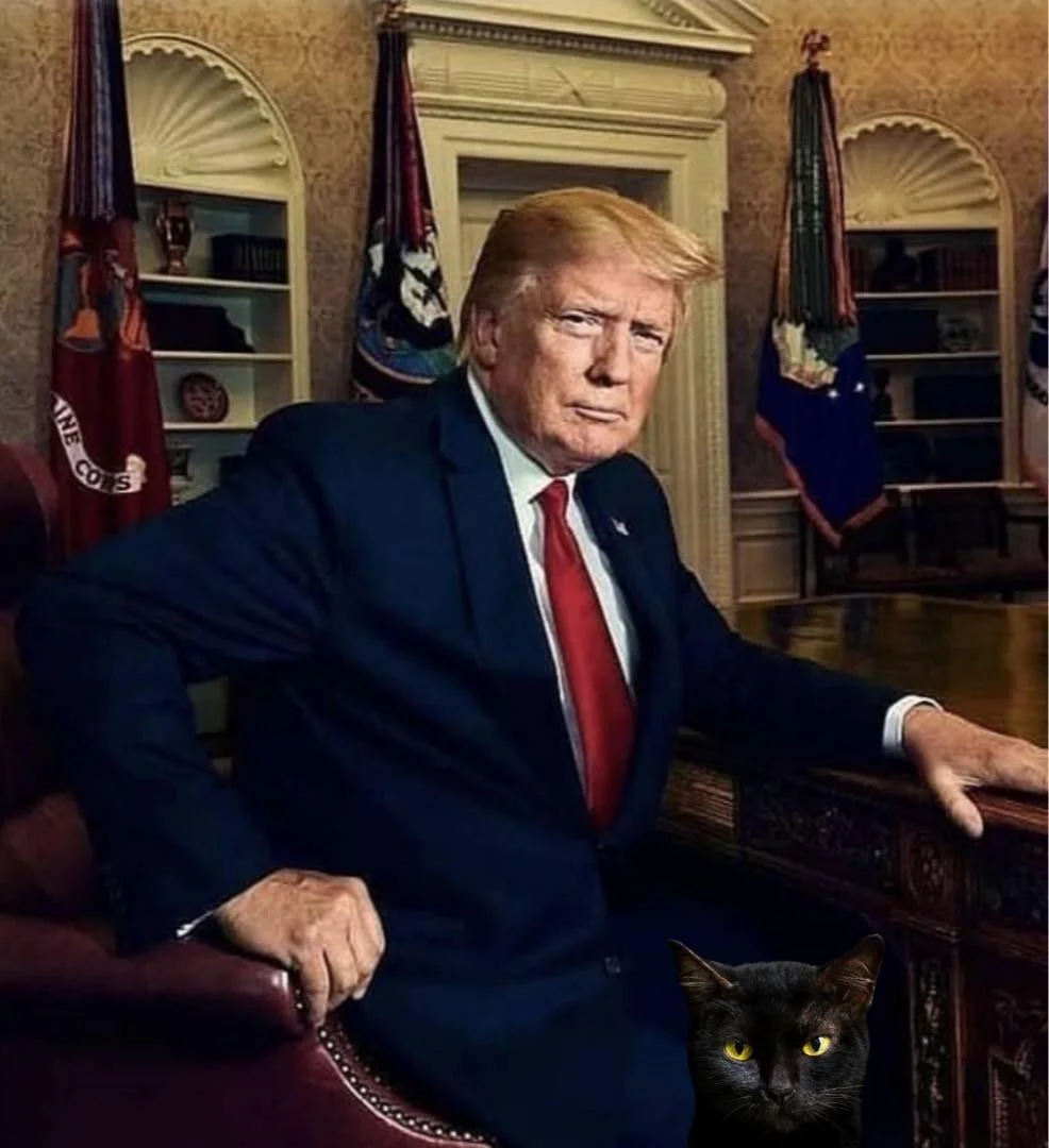 trump-at-desk-cat.jpg