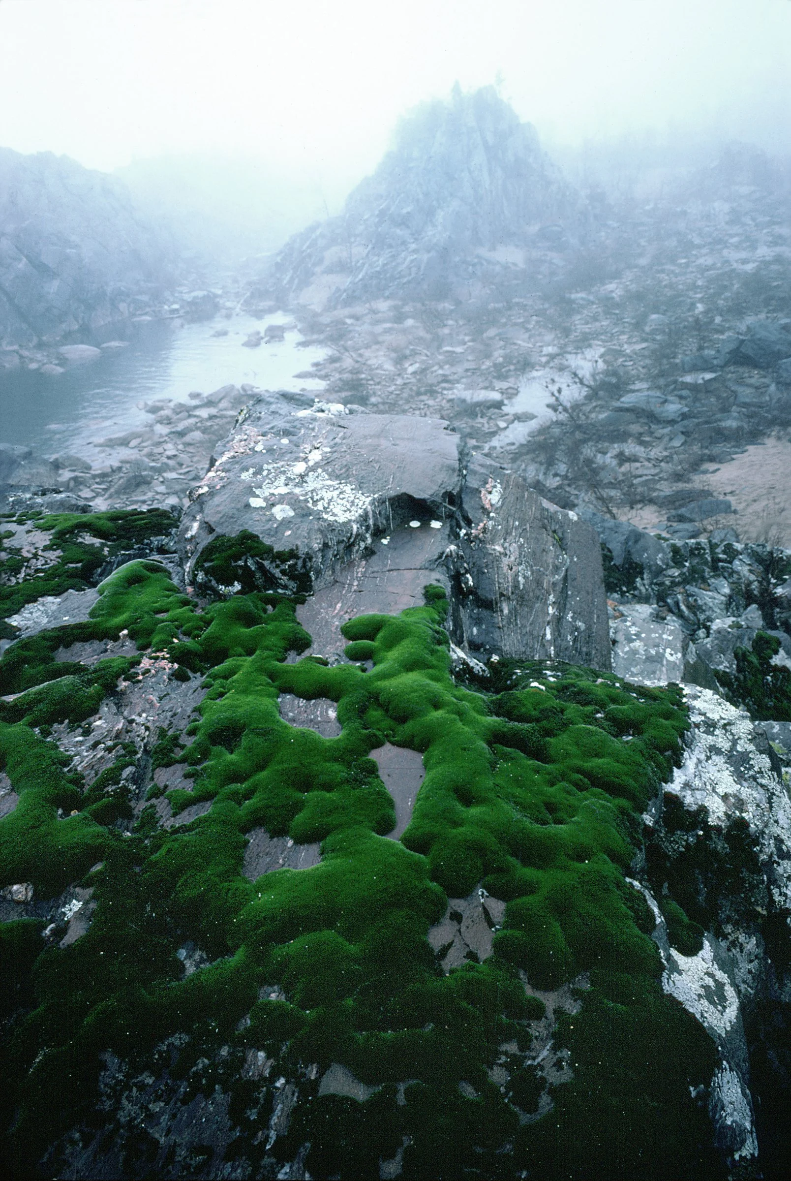 Casler-MiddleEarth.jpg