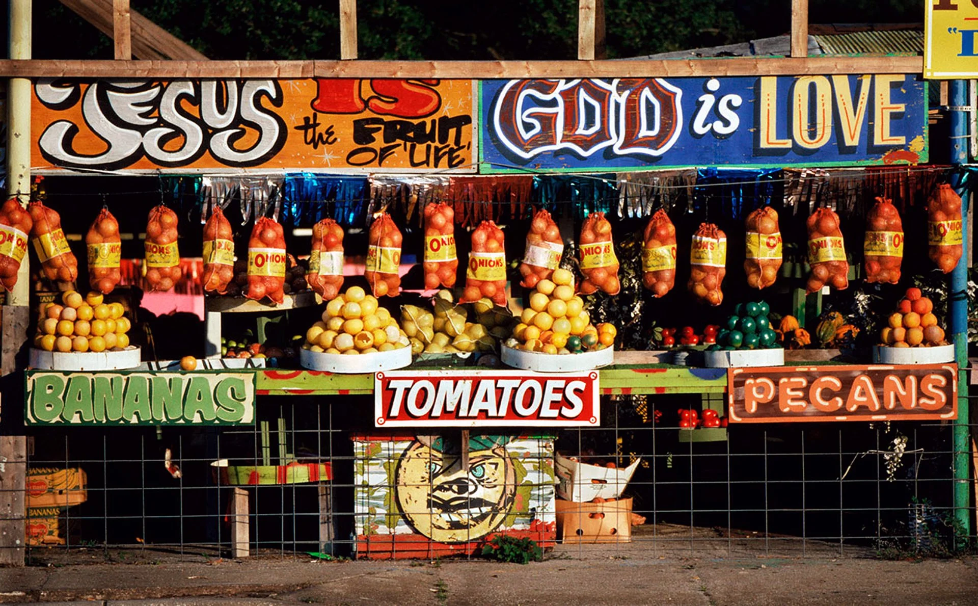 Casler_TheFruitOfLife_1920w.jpg