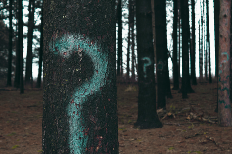 Why work with a ghostwriter?