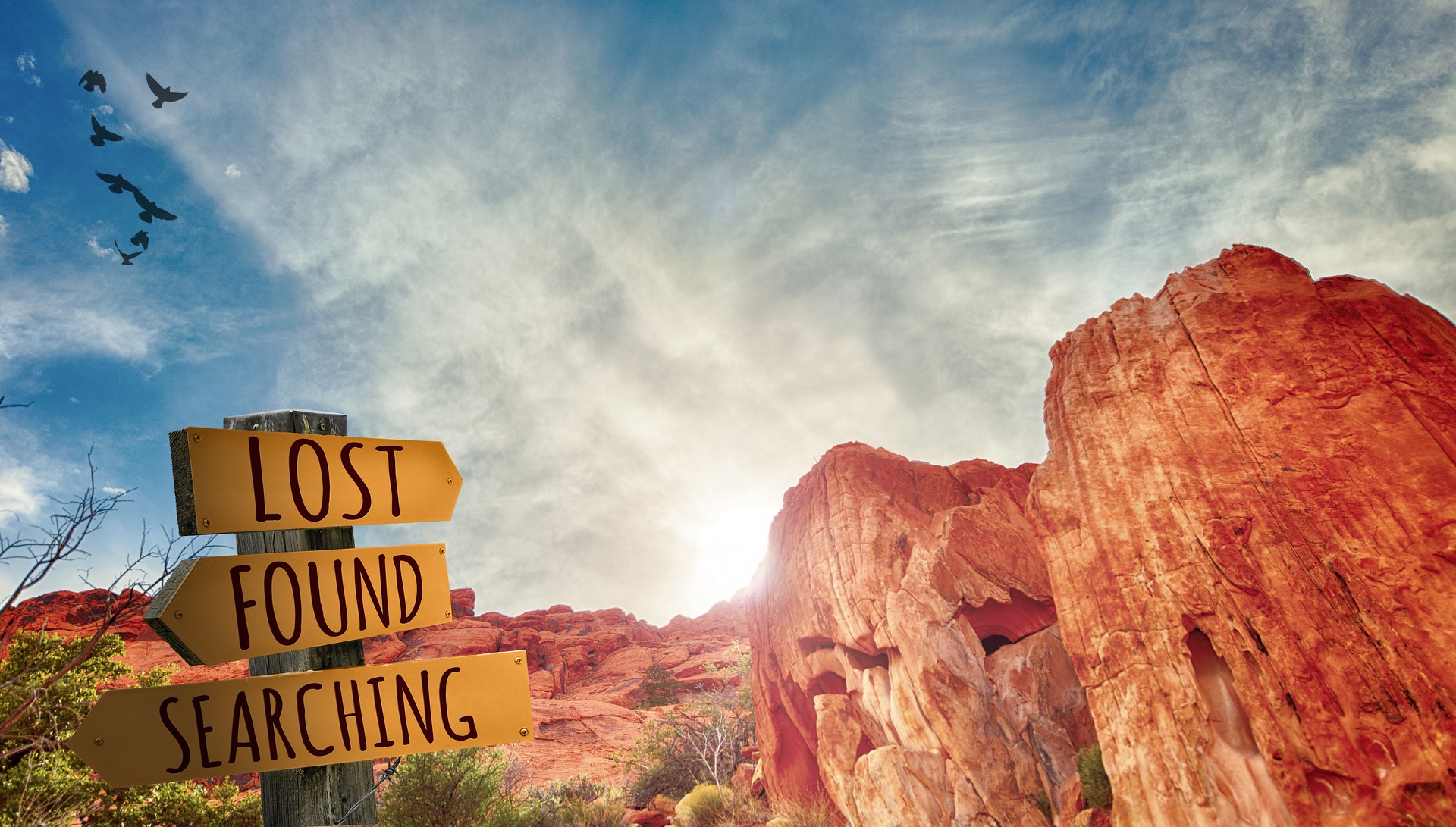 What if my writing process doesn’t work? By Green Goose Ghostwriting
