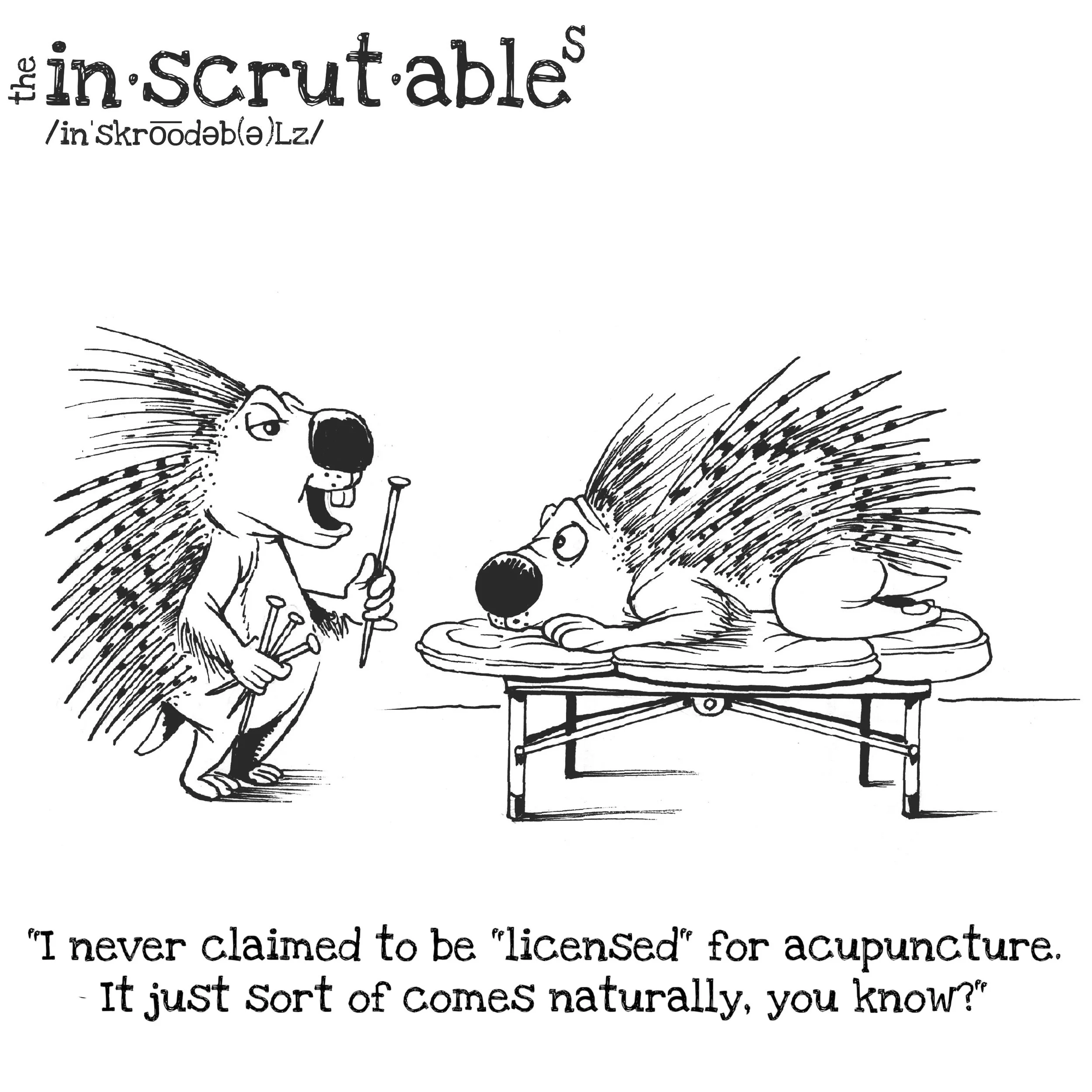 #155: Porcupine Acupuncture