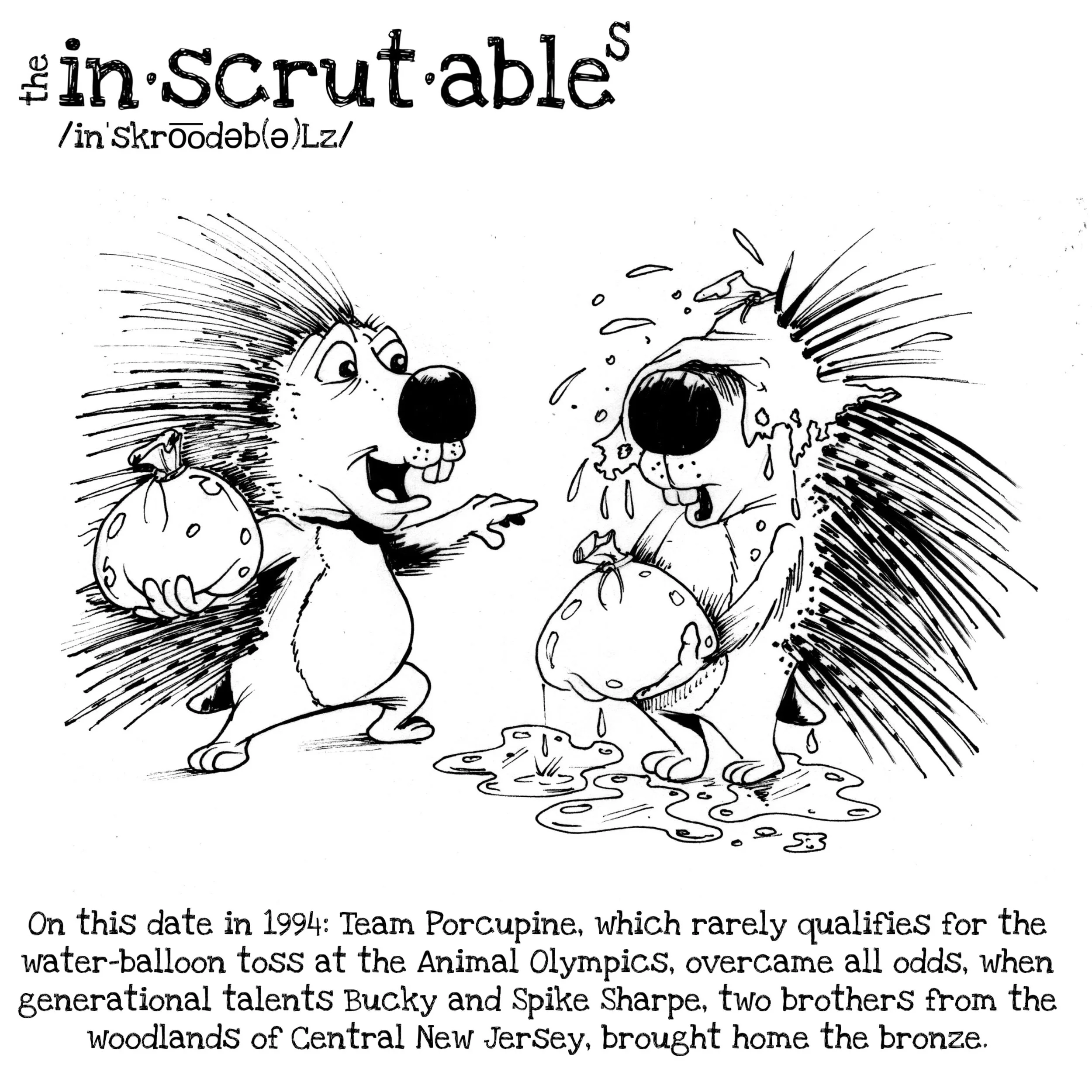 Team Porcupine.JPEG