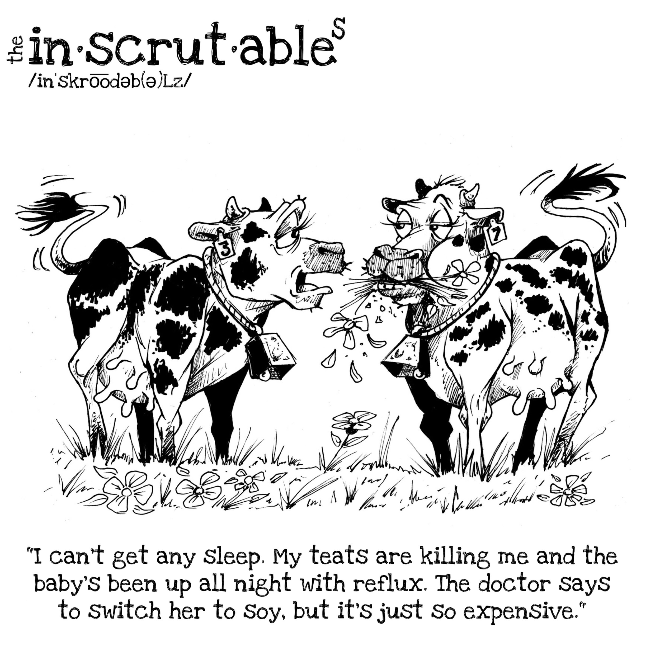 Tbt #41: "My Teats Are Killing Me"