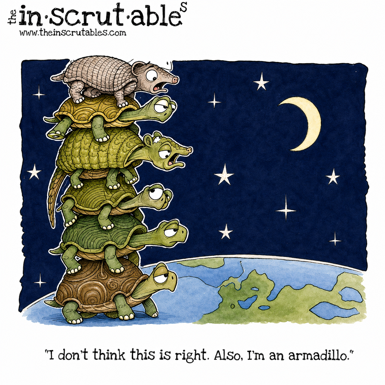 armadilliocolor.png
