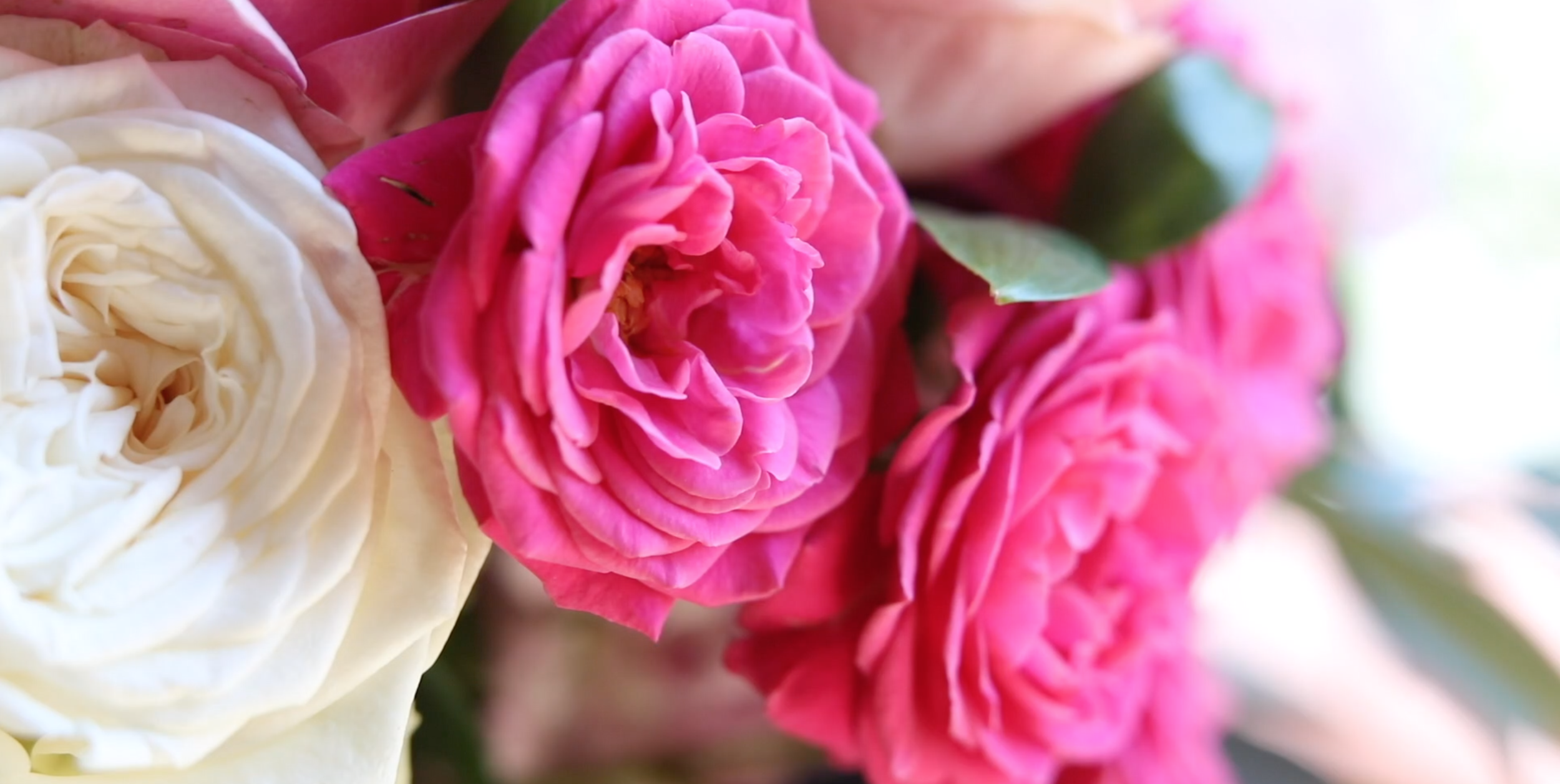 Screen Shot 2019-02-04 at 9.12.35 PM.png