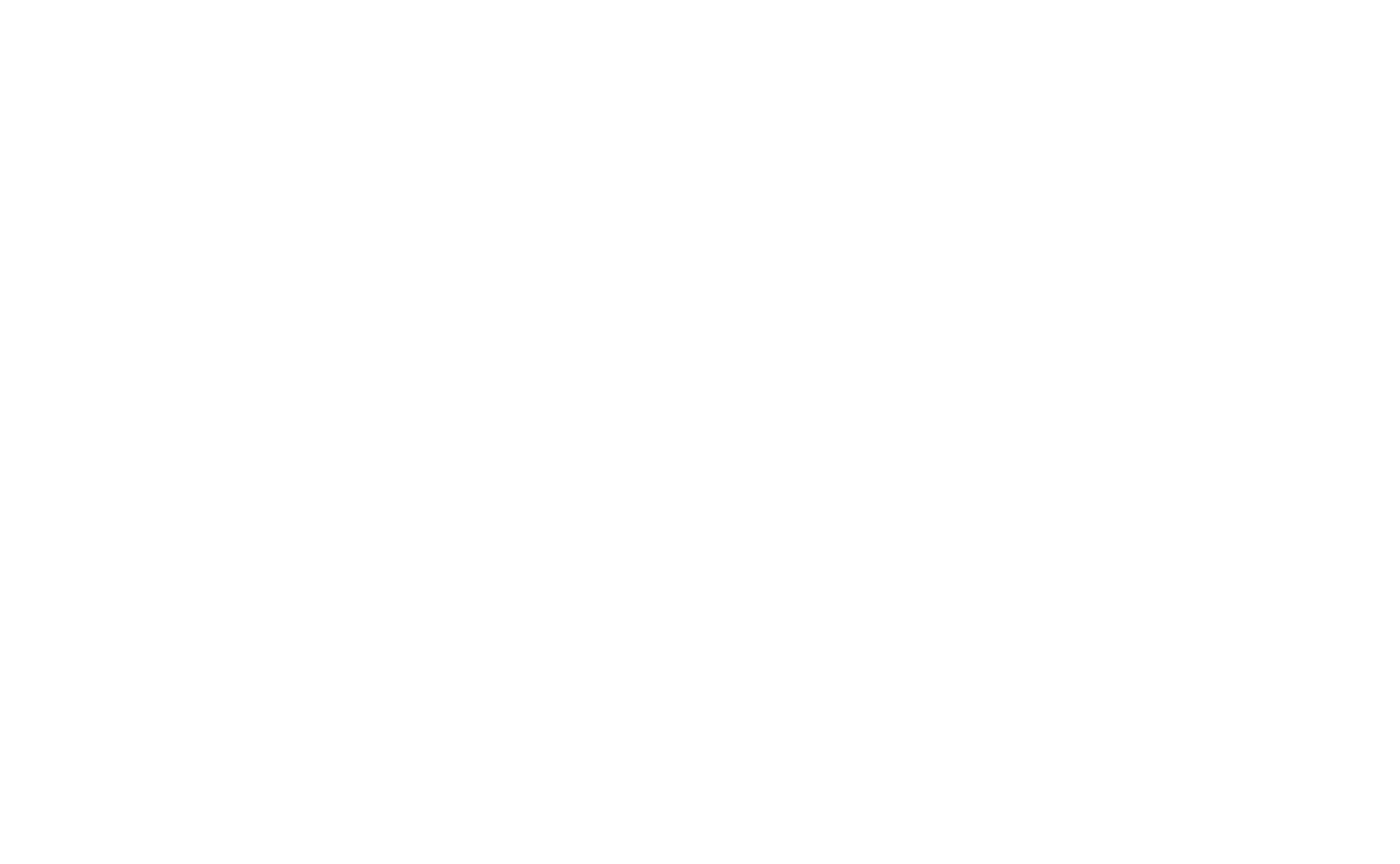 2019 STBF logo white -1.png