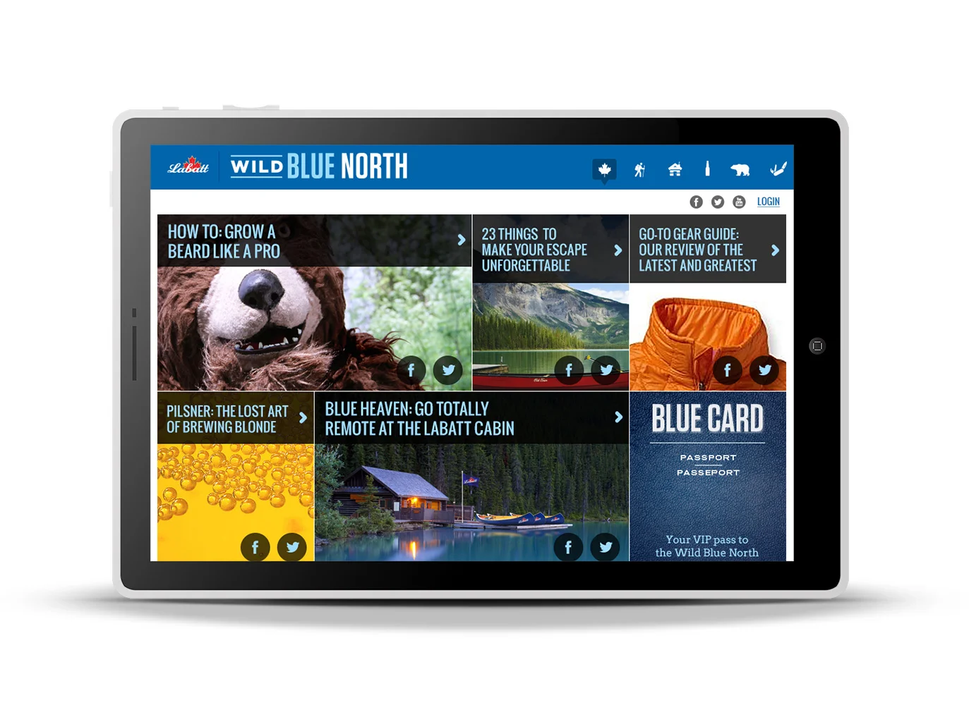 Wild Blue North Dashboard