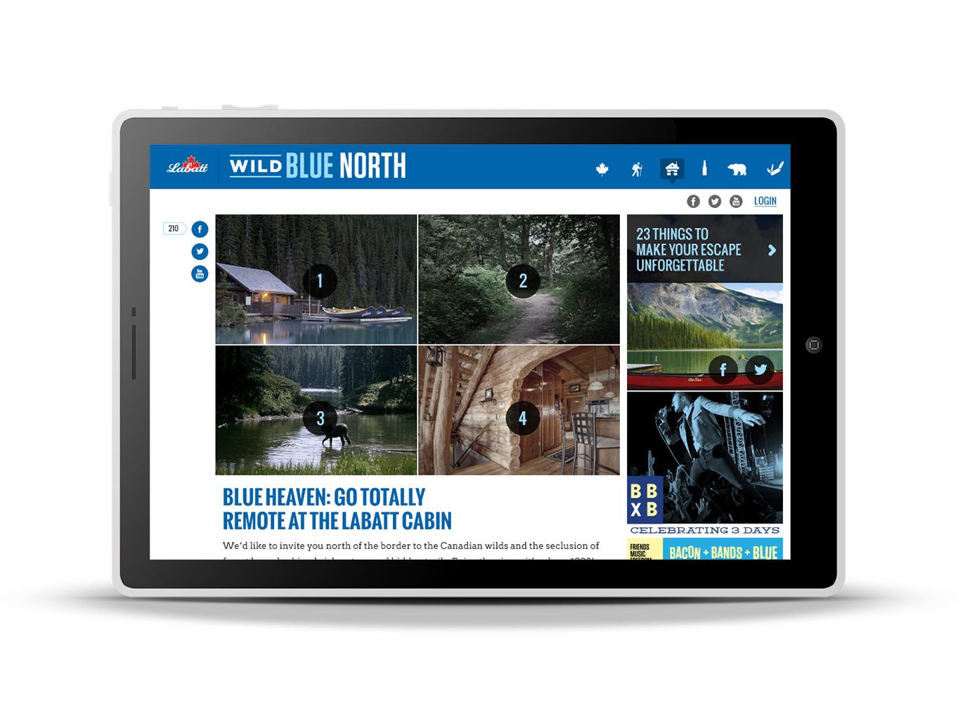 Wild Blue North Cabin Home