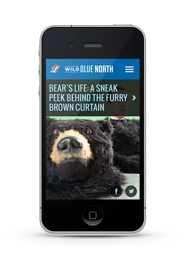 Labatt_iphone_Mock_Bear.jpg