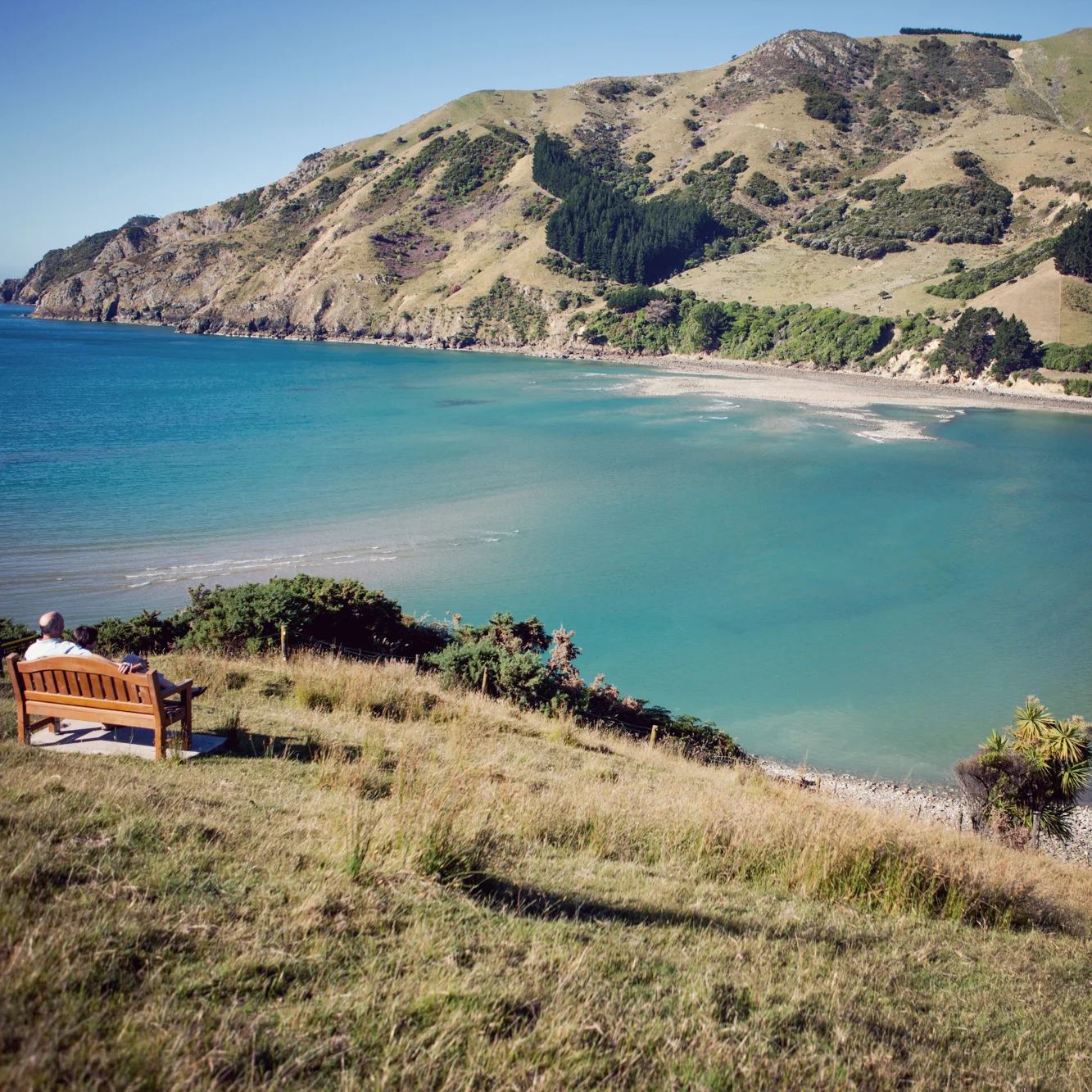 David Haig Rocking Chair.jpg