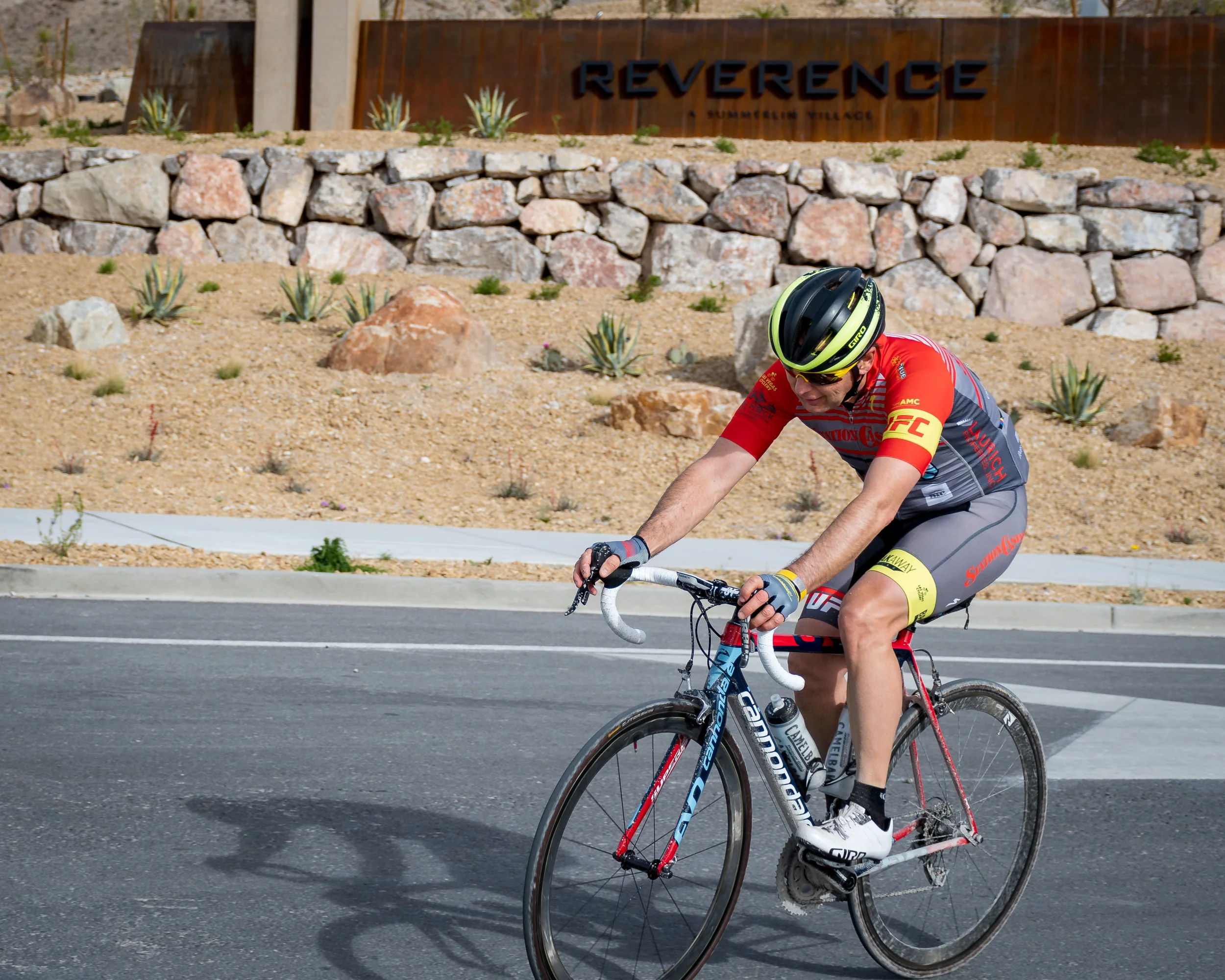 Cannondale.jpg