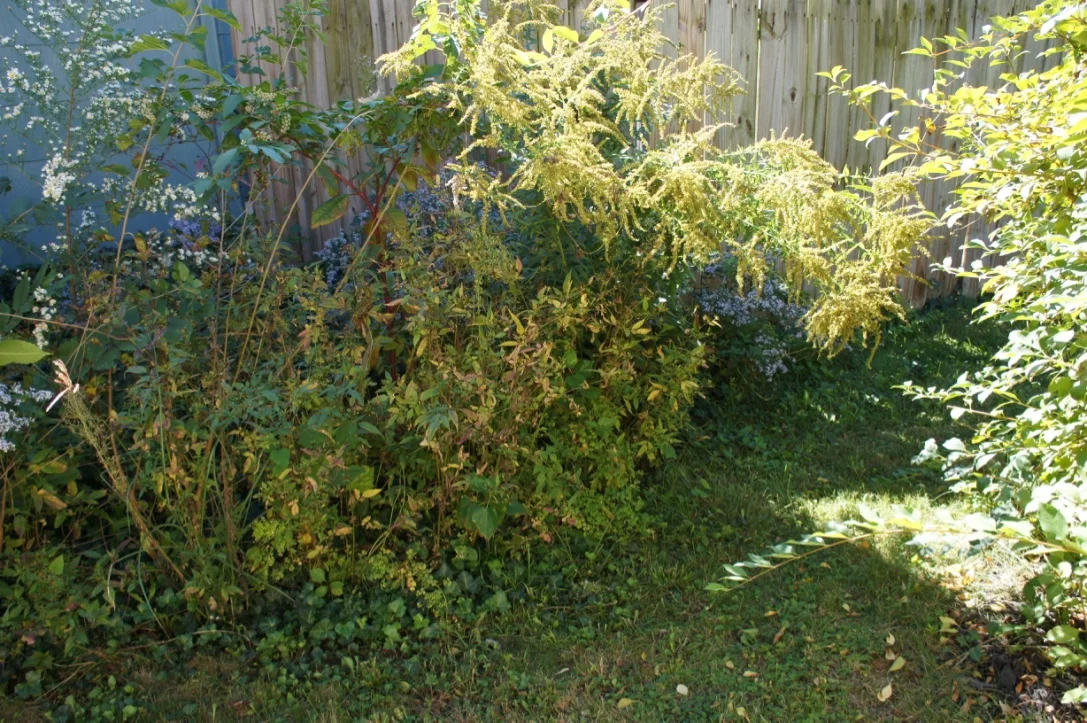thumb_DSC08218_1024.jpg