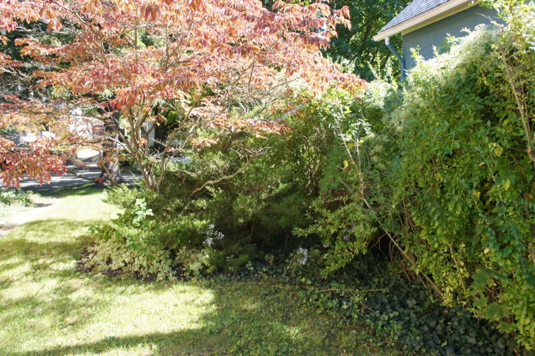 thumb_DSC08219_1024.jpg