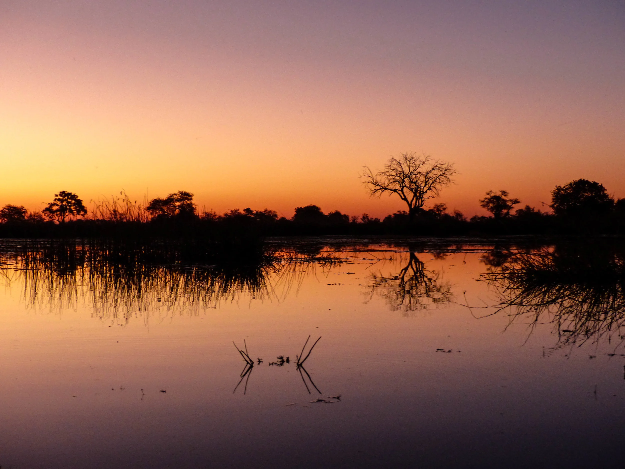 Parks, Botswana, 2013