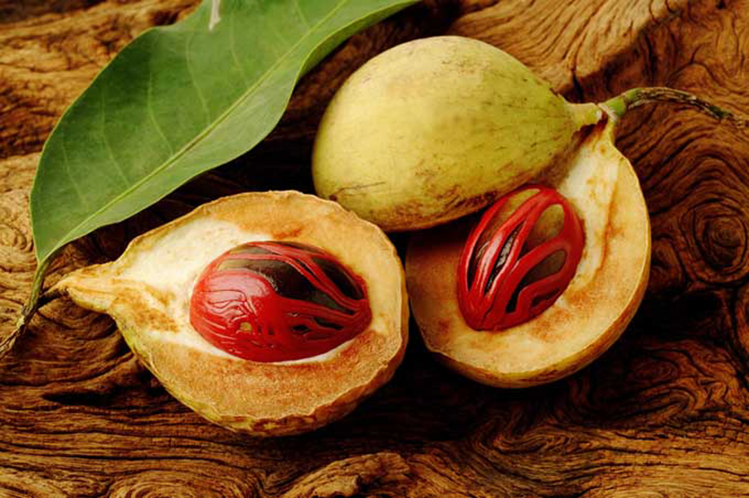 Fresh-Mace-and-Nutmeg.jpg