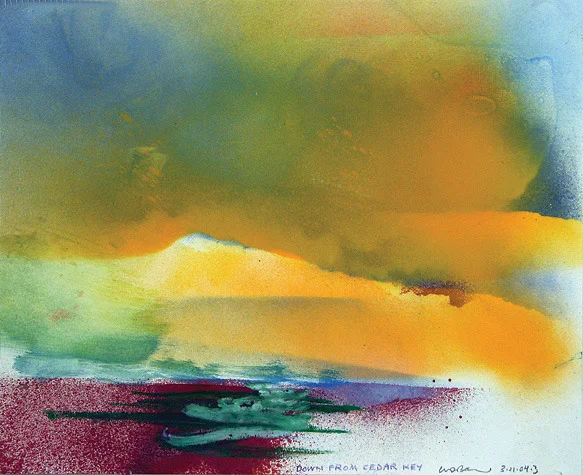 Florida Abstracted Down From Cedar Key Darby Bannard.jpg