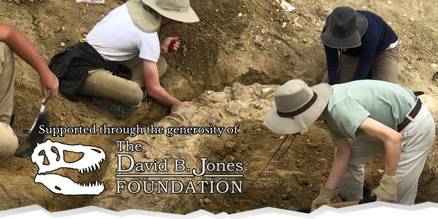 David B Jones Summer Field Internship — Elevation Science Institute