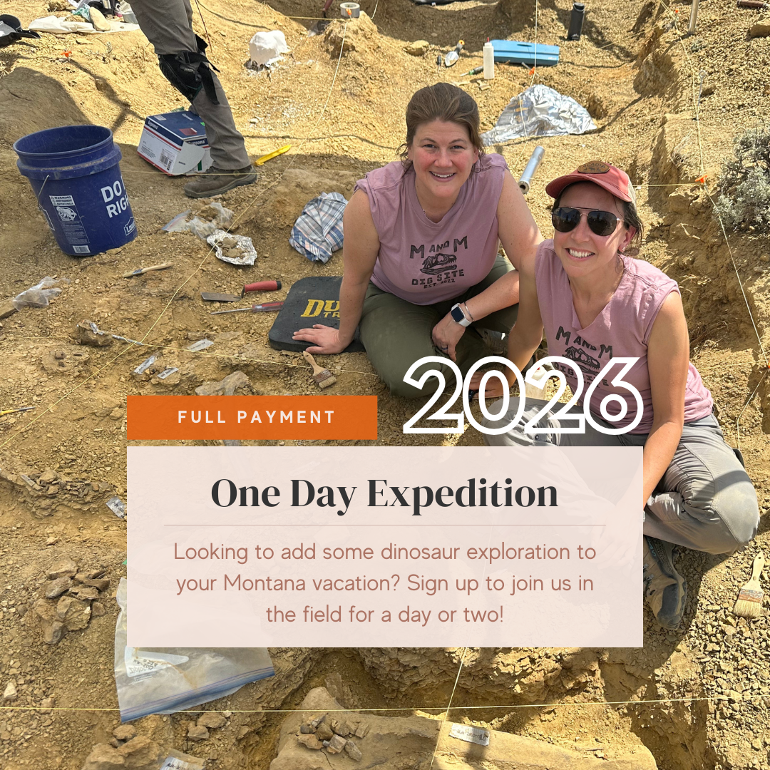 Daily Expedition Visitors