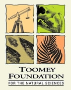 Toomey Foundation Logo.jpg