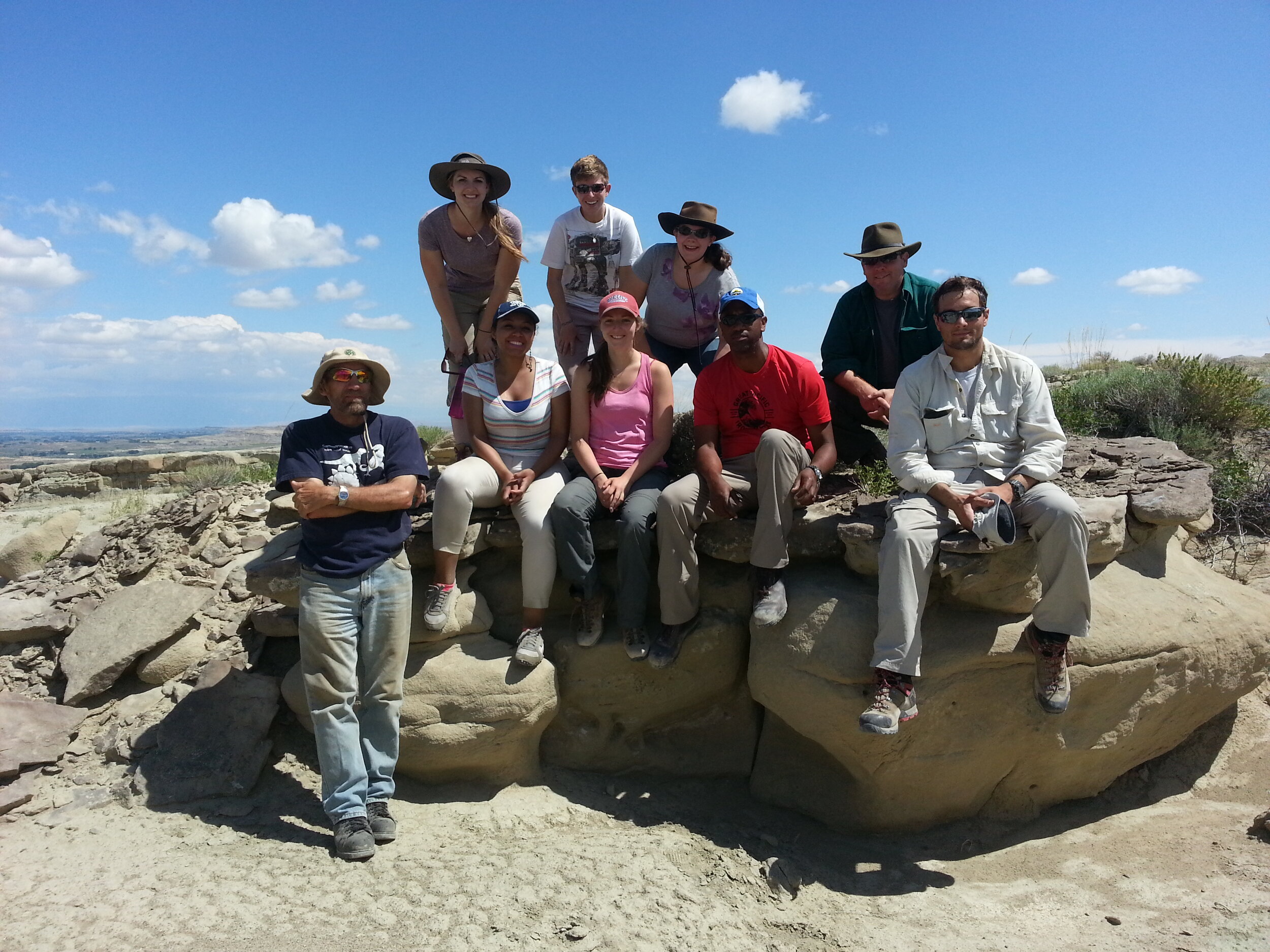 Dinos in a Time of COVID...